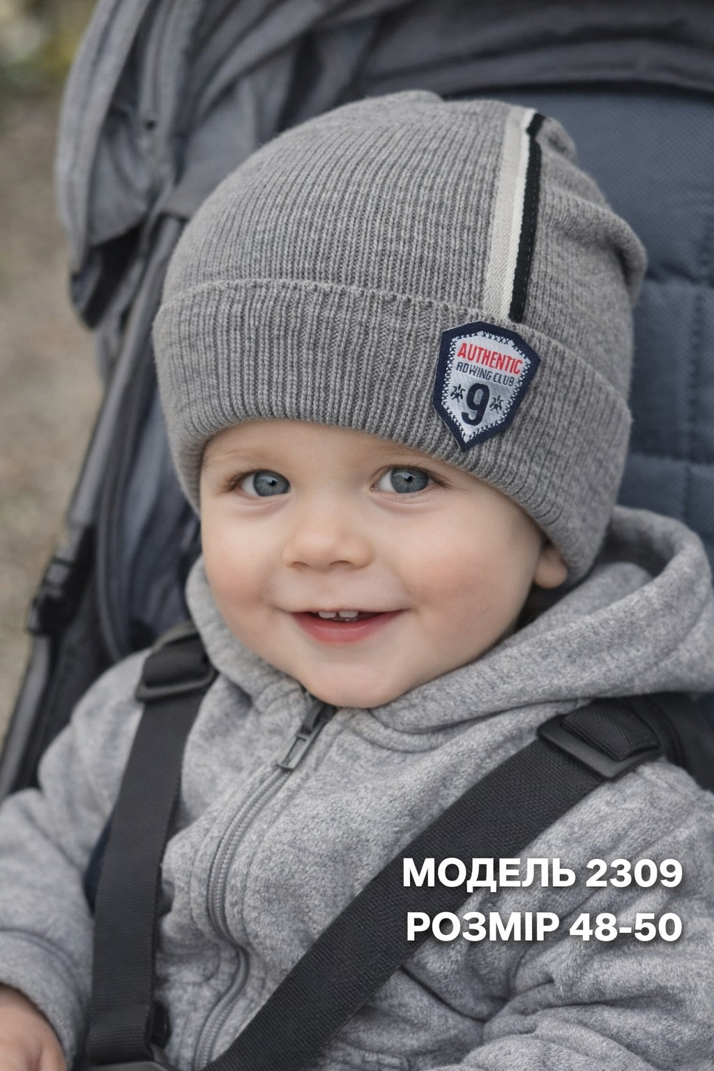 Модель 2309