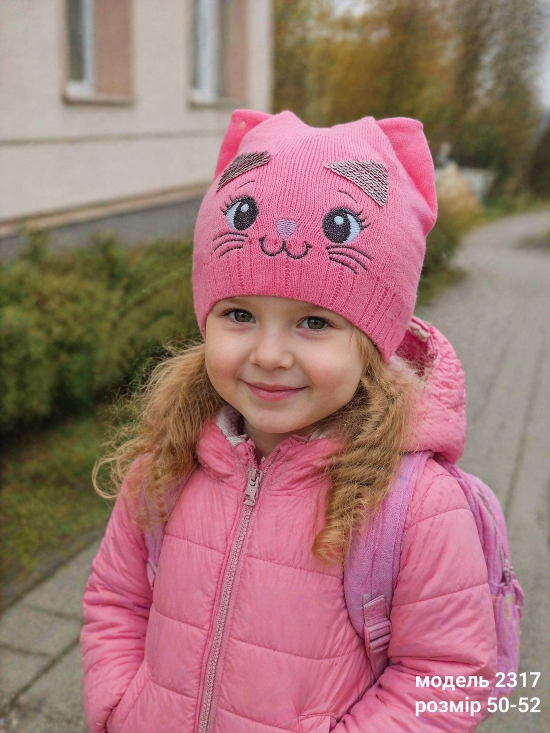 Модель 2317