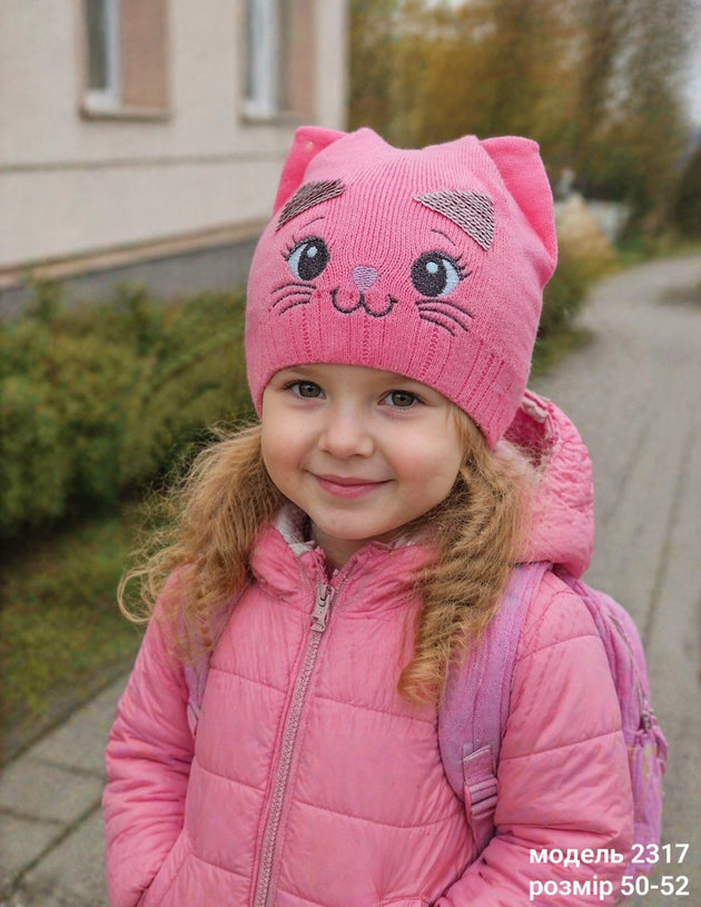 Модель 2317