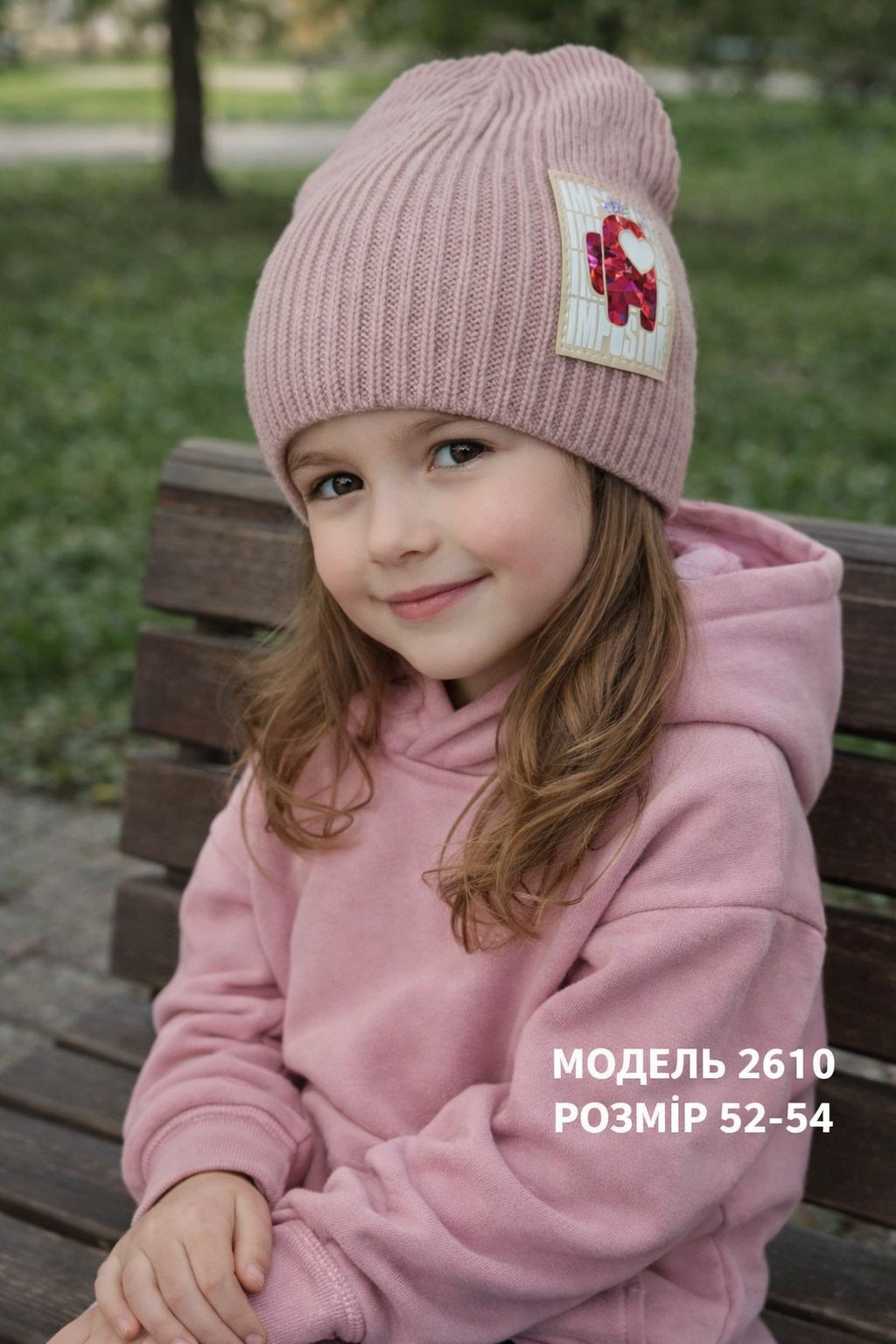 Модель 2610