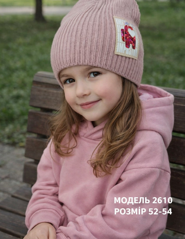Модель 2610