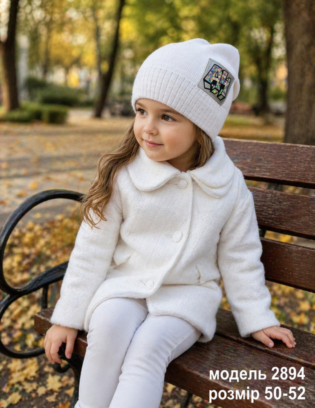 Модель 2894