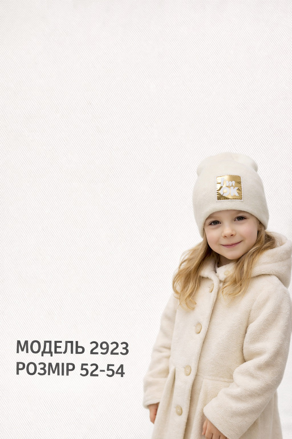 Модель 2923