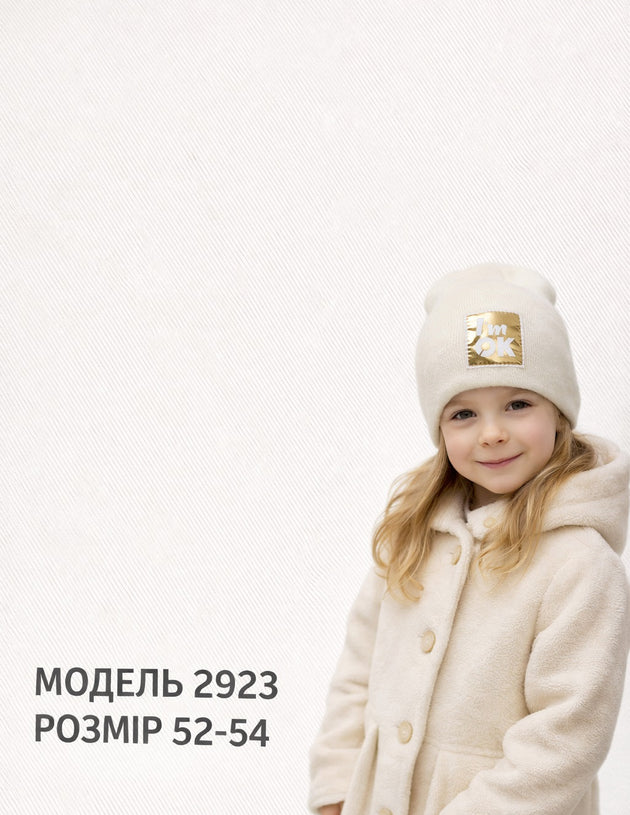 Модель 2923