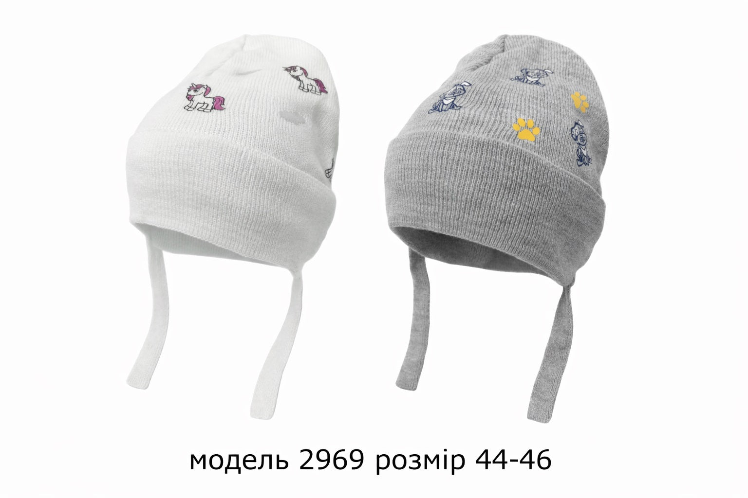 Модель 2969