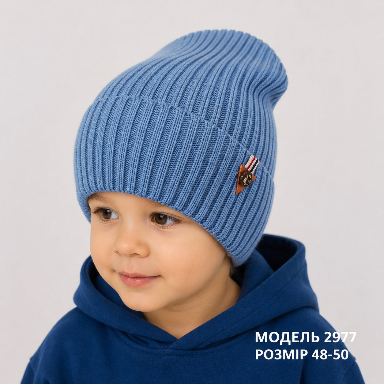 Модель 2977