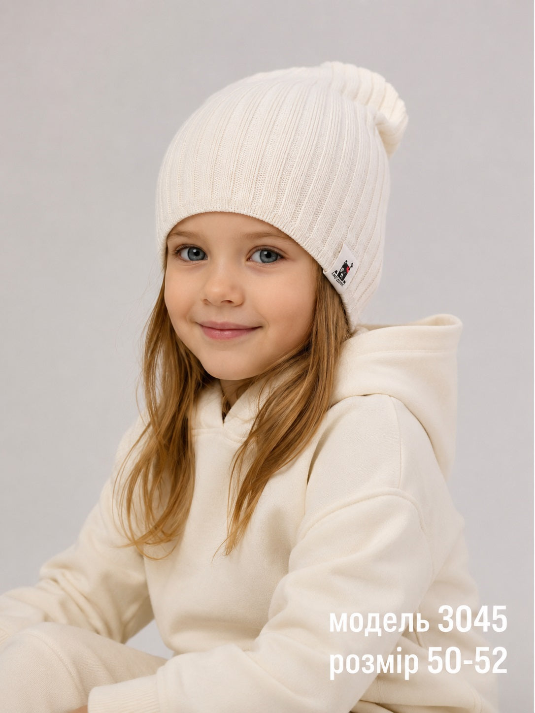 Модель 3045