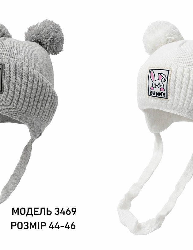 Модель 3469