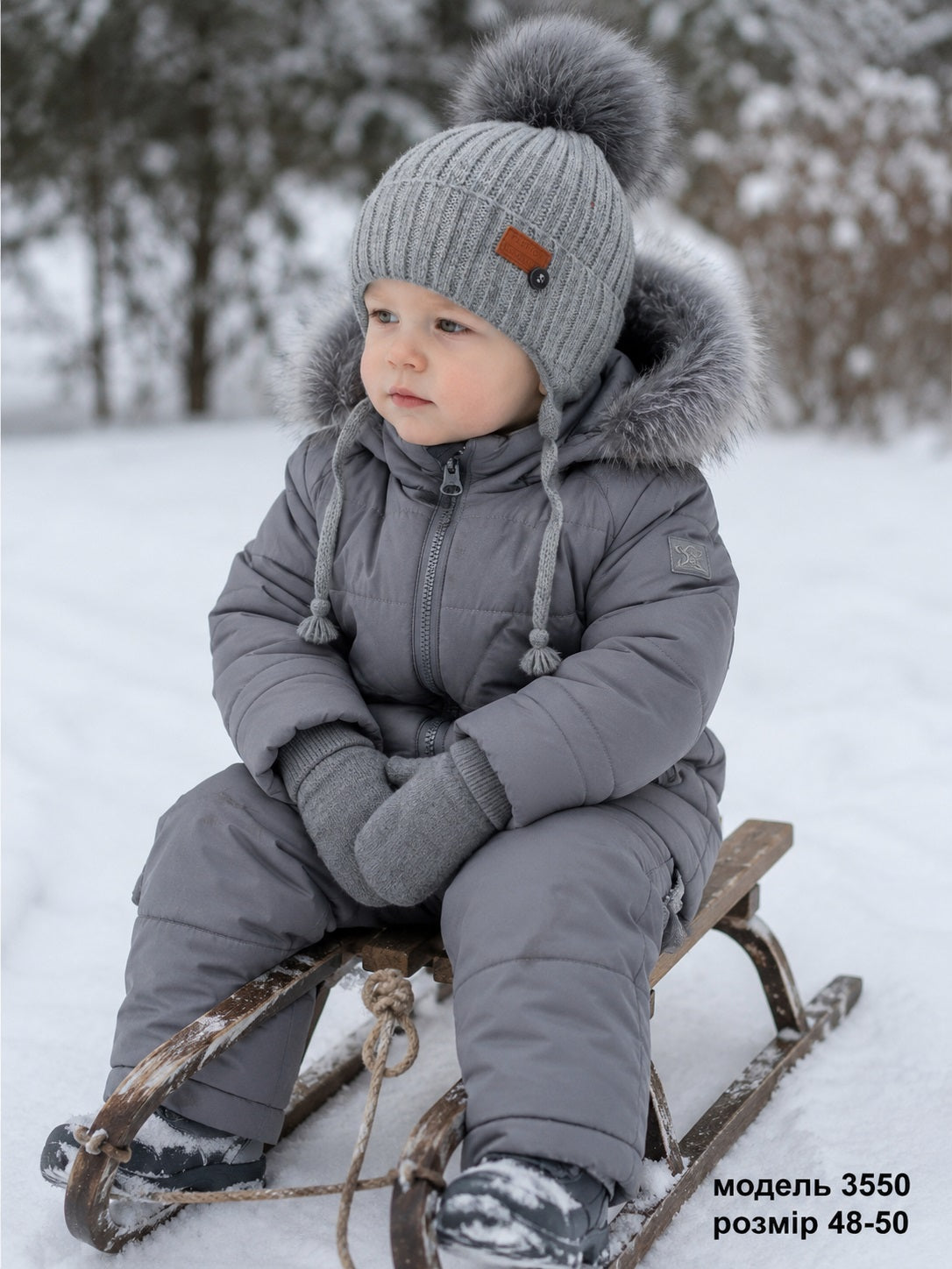 Модель 3550