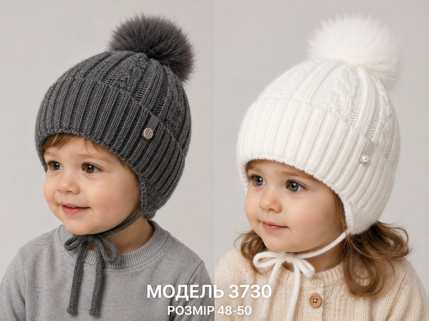 Модель 3730