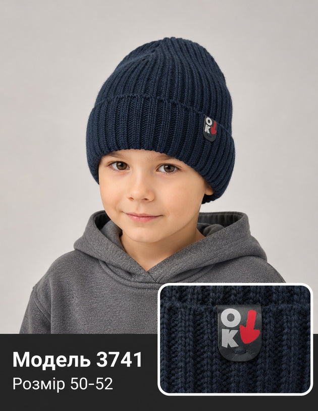 Модель 3741