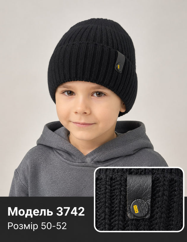 Модель 3742