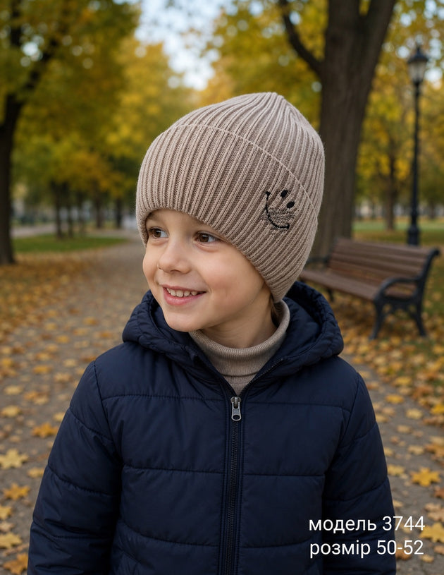 Модель 3744