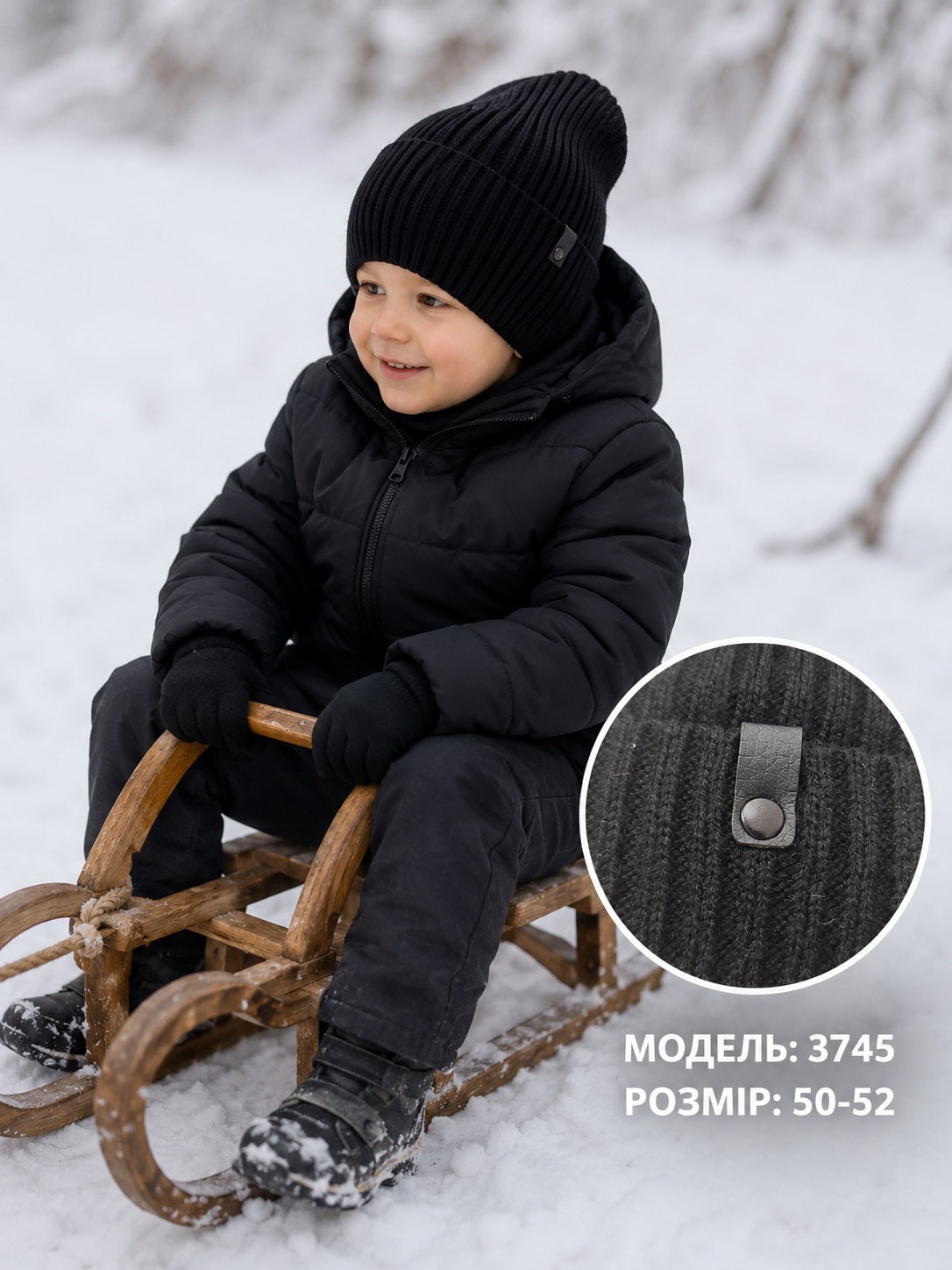 Модель 3745