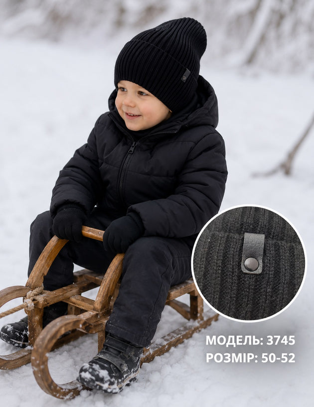 Модель 3745