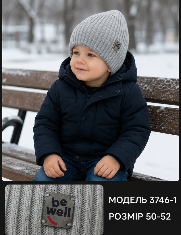Модель 3746-1