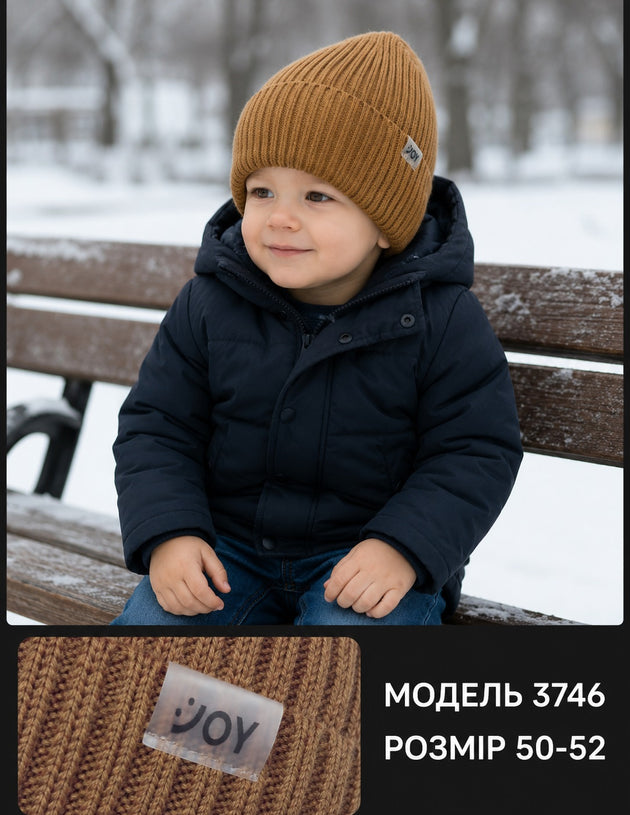 Модель 3746