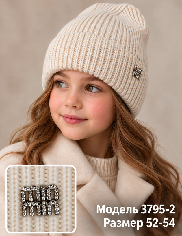 Модель 3795-2