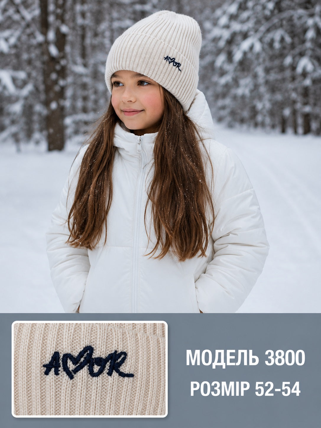 Модель 3800