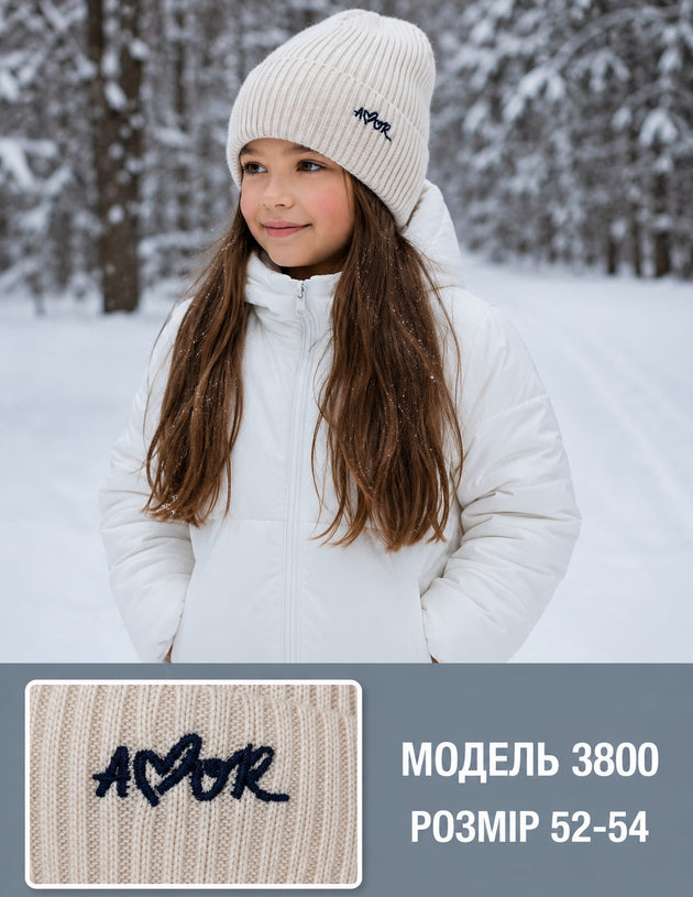 Модель 3800