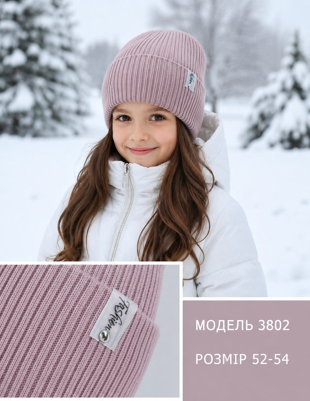 Модель 3802