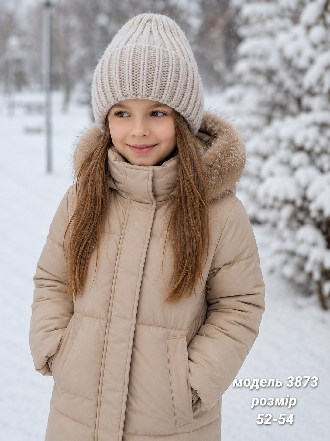 Модель 3873