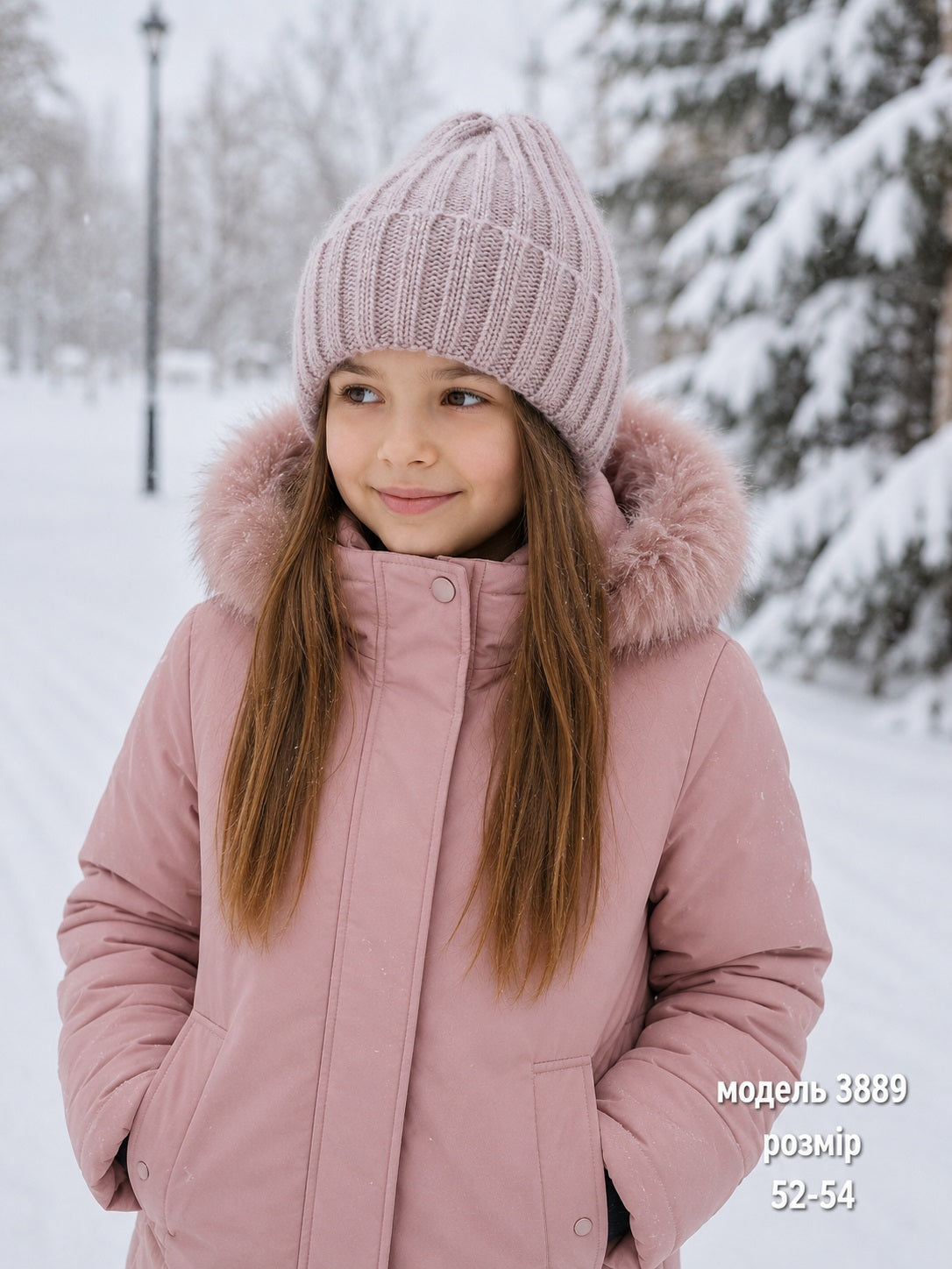 Модель 3889
