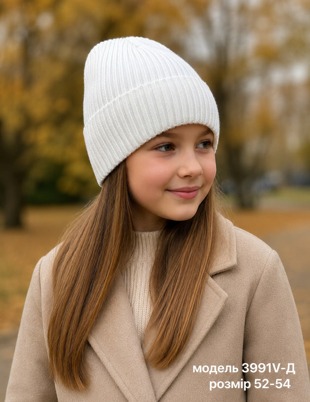 Модель 3991V Д