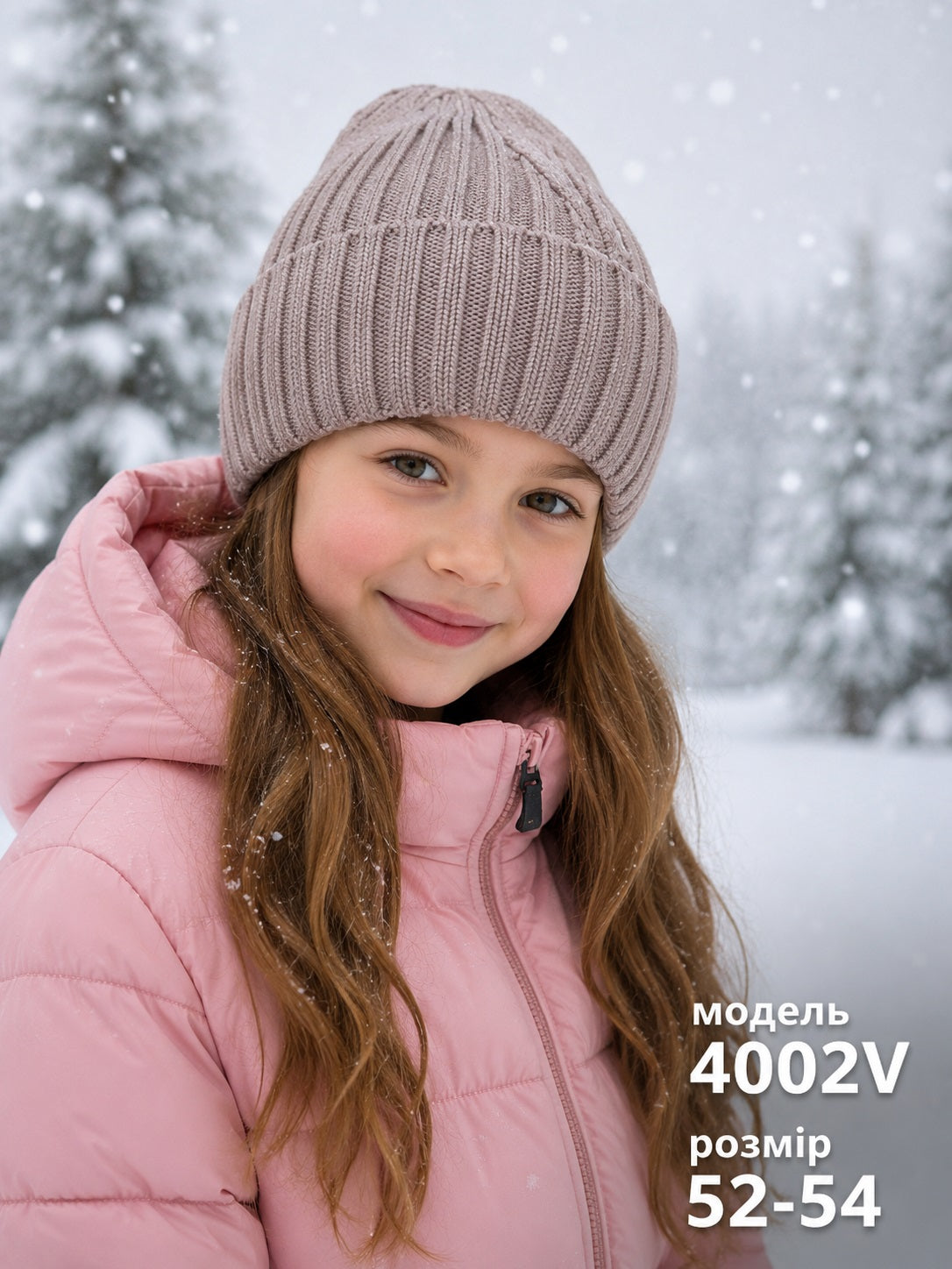 Модель 4002V