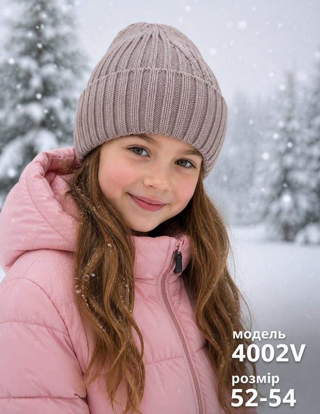 Модель 4002V