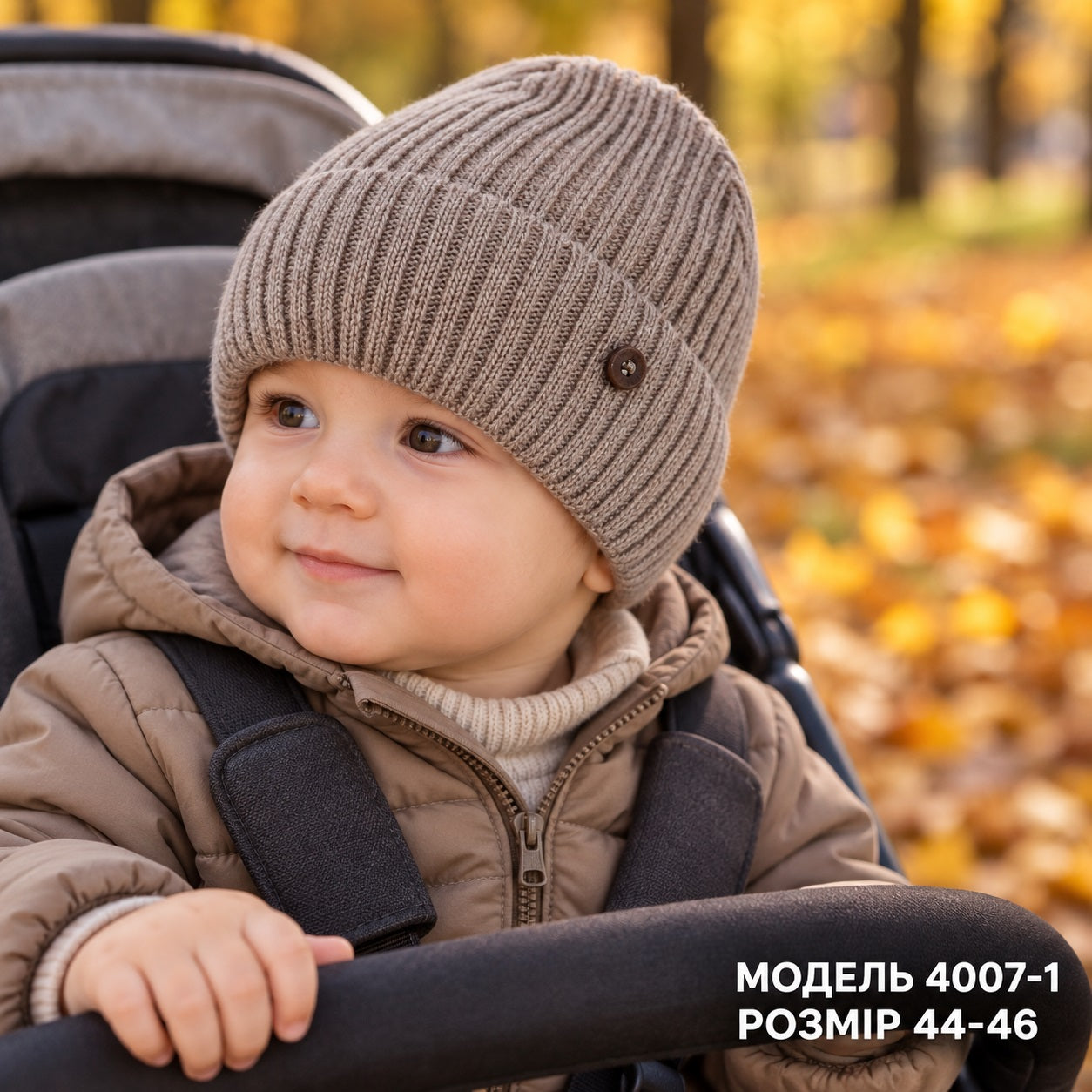 Модель 4007-1