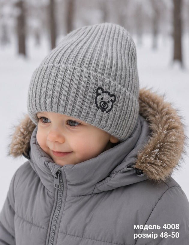 Модель 4008