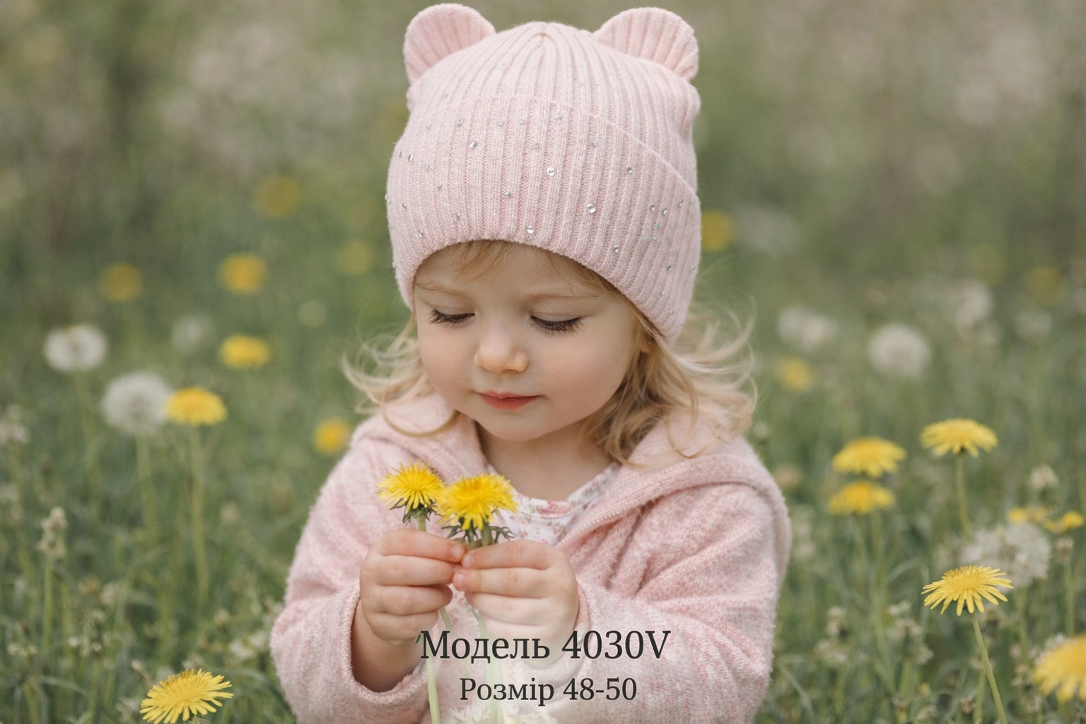 Модель 4030V-Д