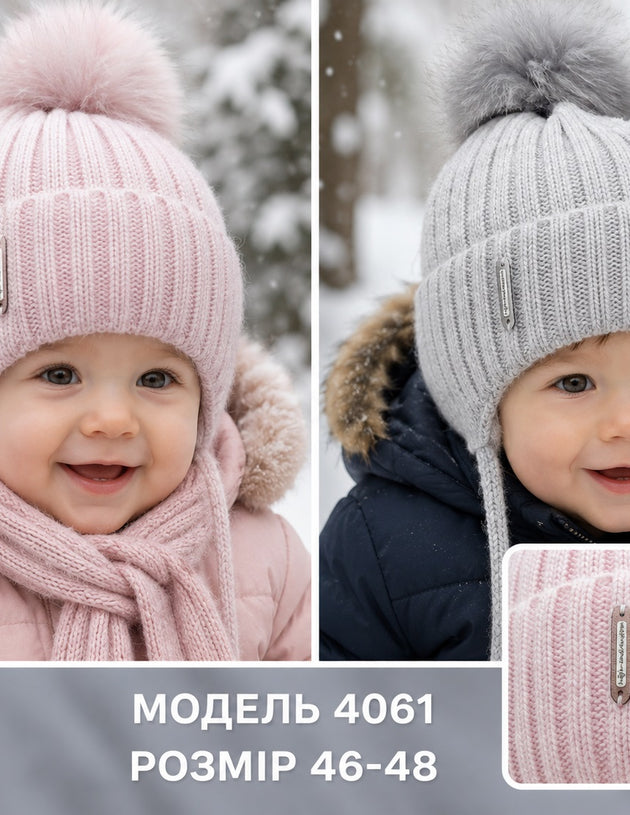 Модель 4061