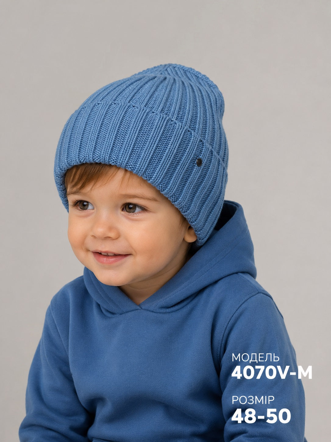 Модель 4070V М