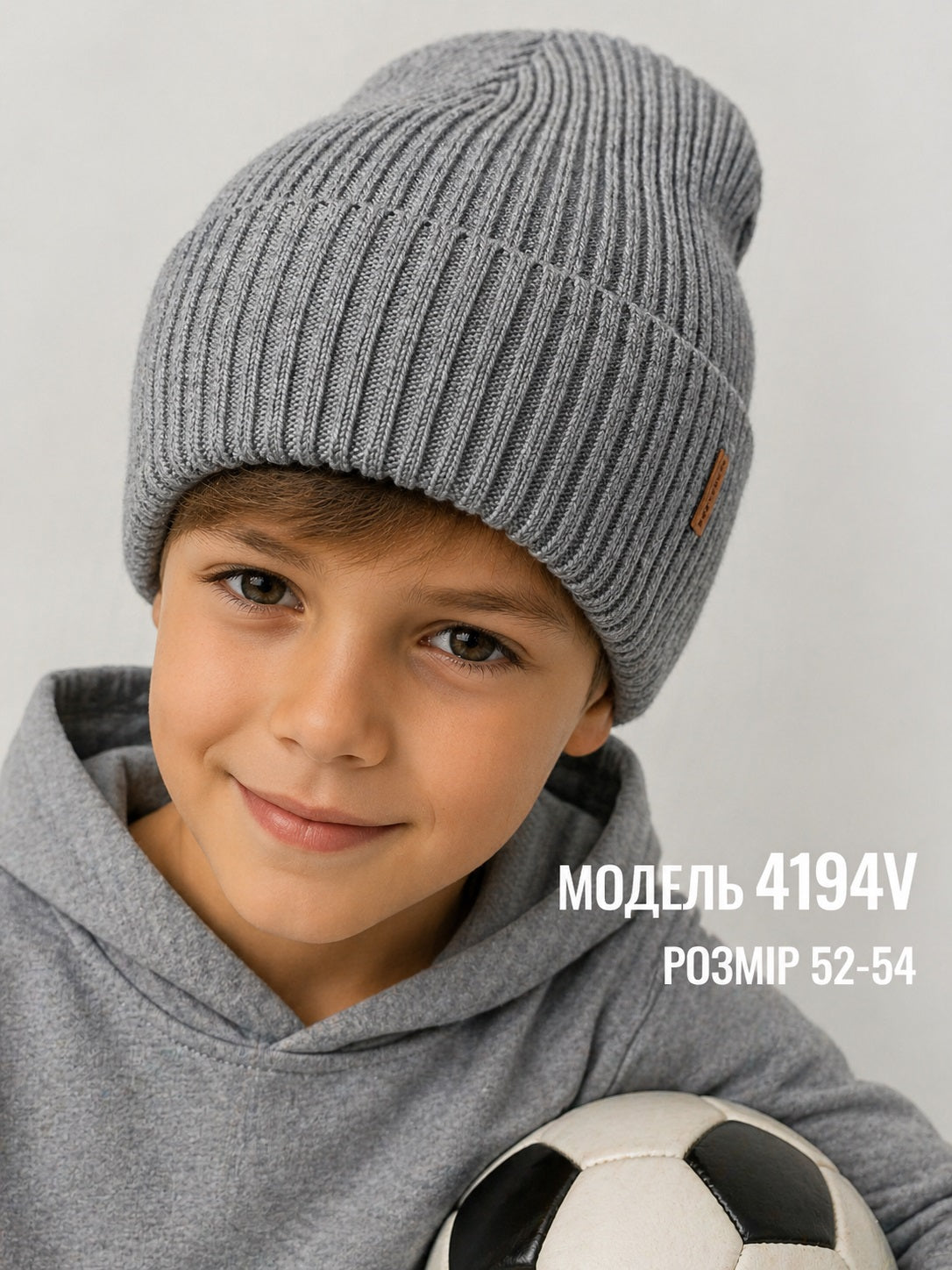 Модель 4194V
