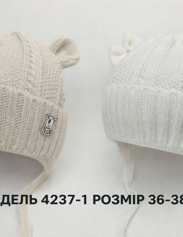 Модель 4237-1