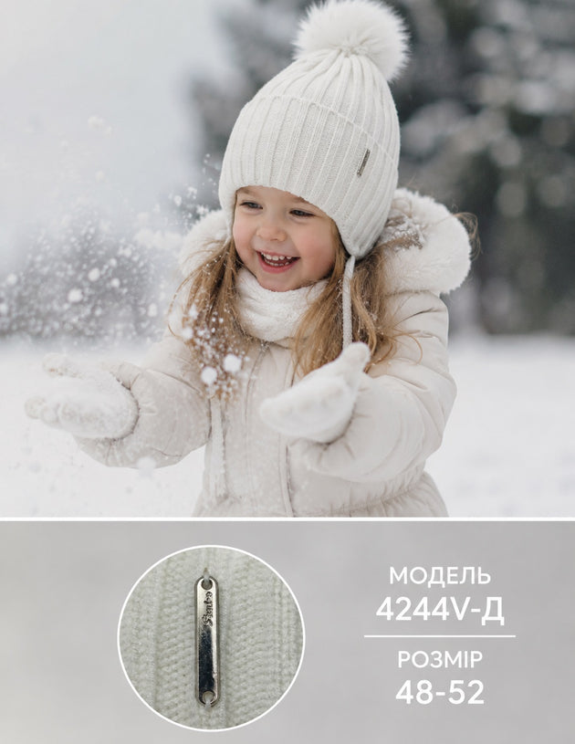 Модель 4244V-Д