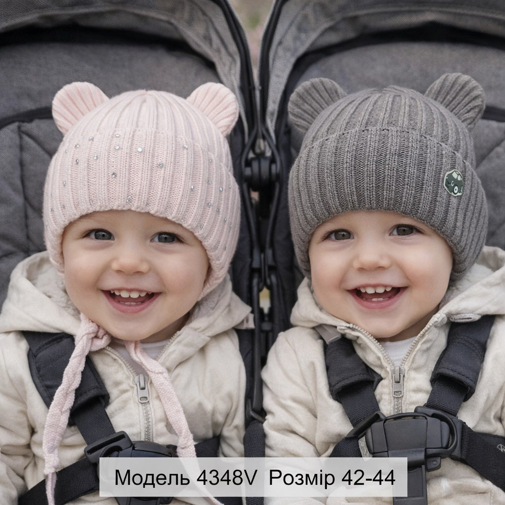 Модель 4348V