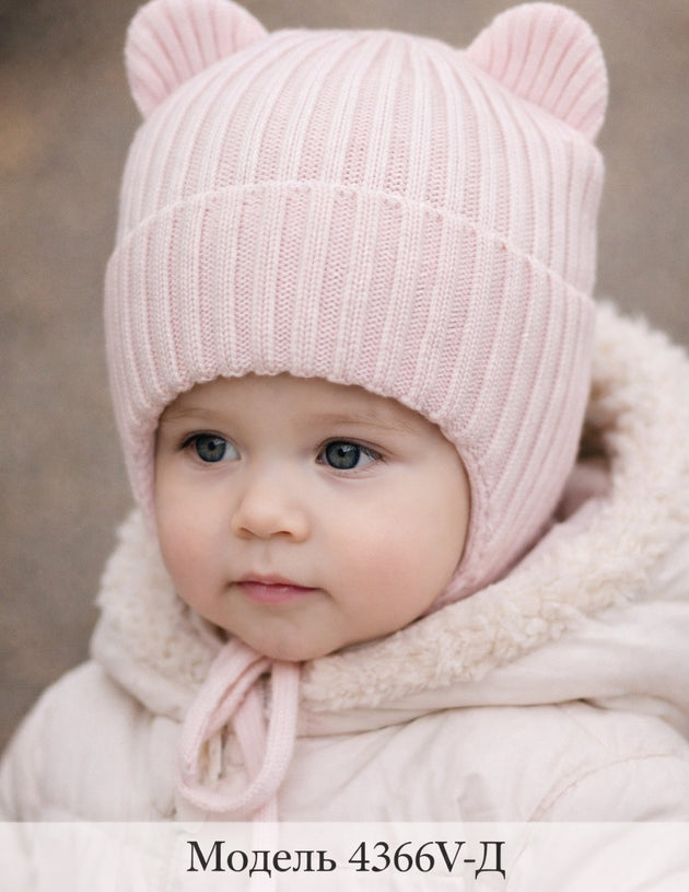 Модель 4366V-Д