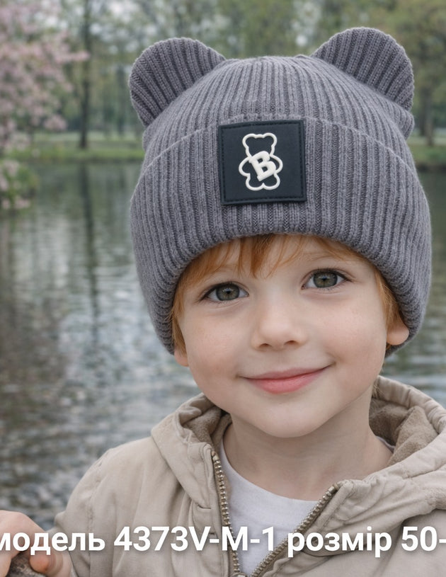 Модель 4373V-М-1