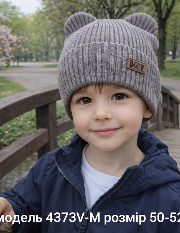 Модель 4373V-М