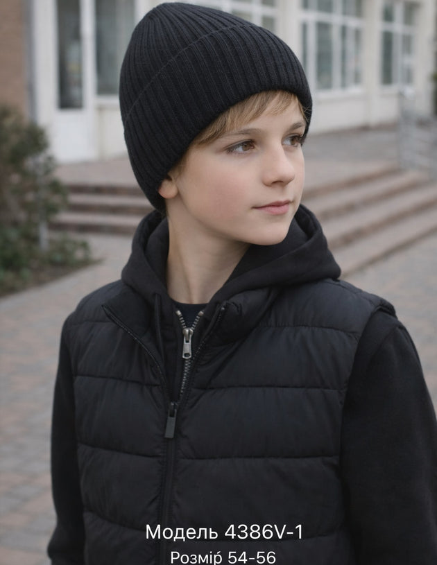 Модель 4386V-1