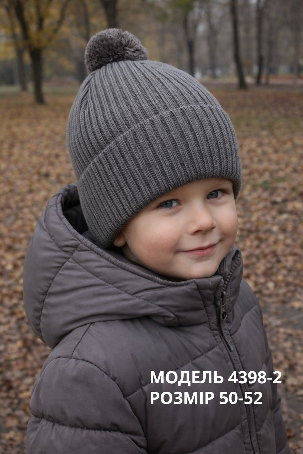 Модель 4398-2