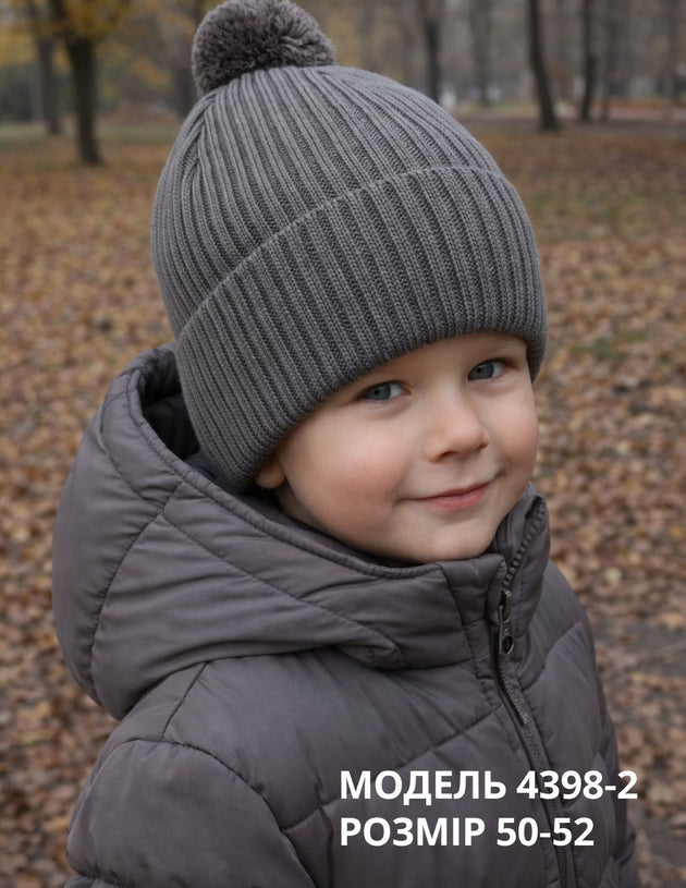 Модель 4398-2