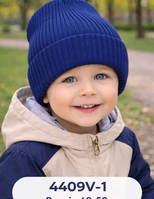 Модель 4409V-1