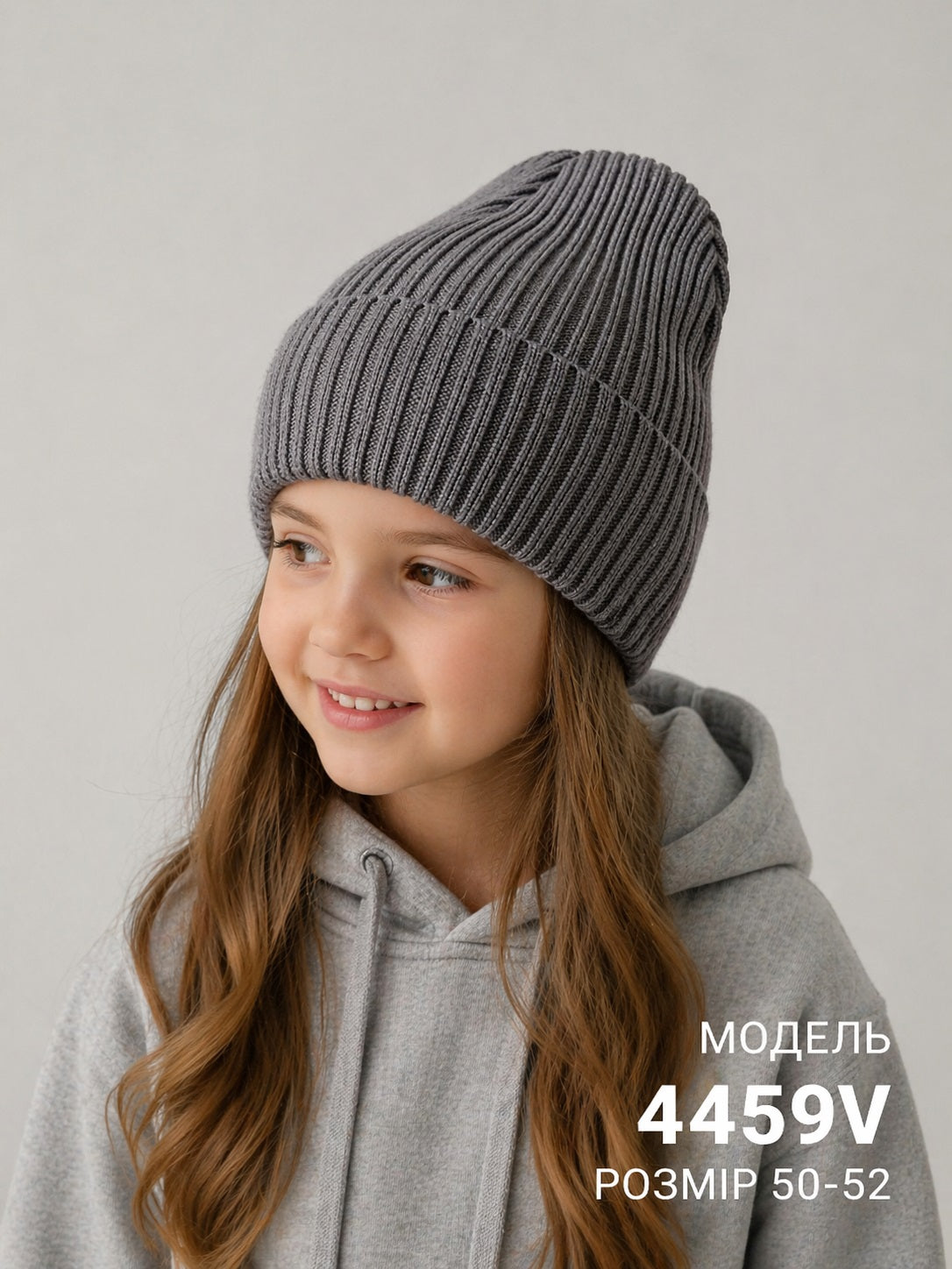 Модель 4459V