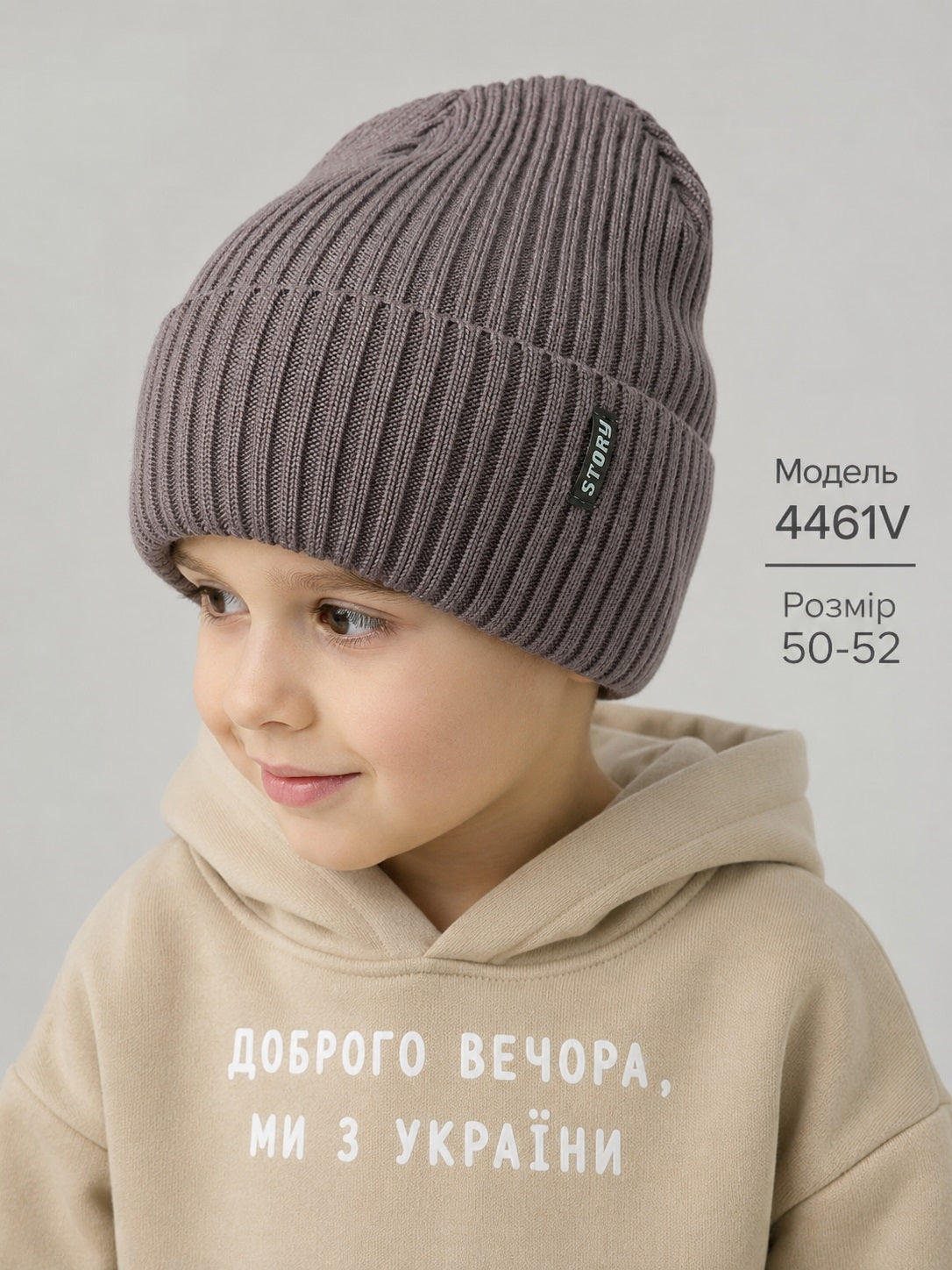 Модель 4461V