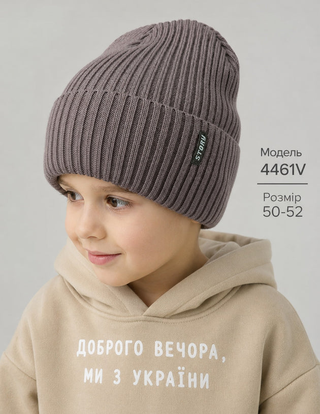 Модель 4461V